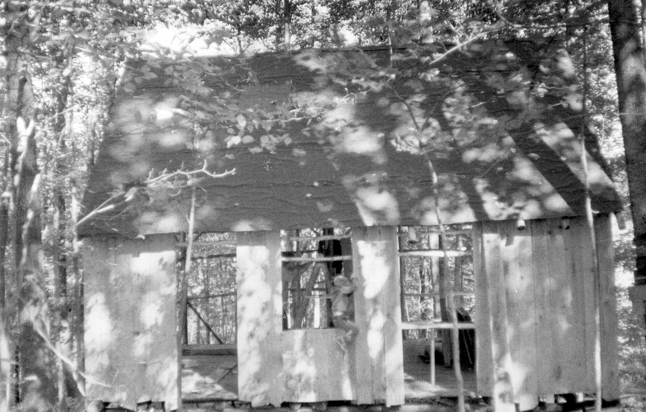 805 Cabin Fisk Forest 1974337